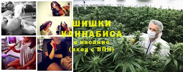 a pvp Дмитриев