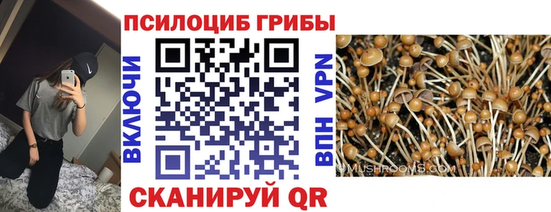 Купить закладки  Омск  Галлюциногенные грибы Cubensis 